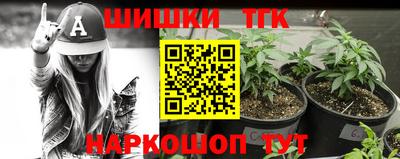дмт Сланцы