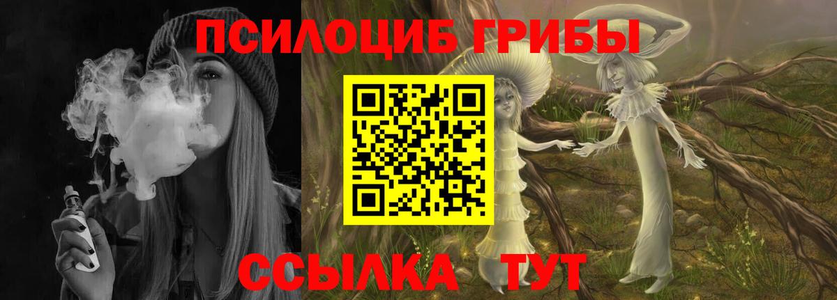 Галлюциногенные грибы Psilocybine cubensis  Вход с VPN  как найти закладки  Большой Камень  Галлюциногенные грибы GOLDEN TEACHER 